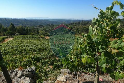 Farm i Viseu, Viseu, Viseu - € 220.000 | Ref: 2023/V - foto 20