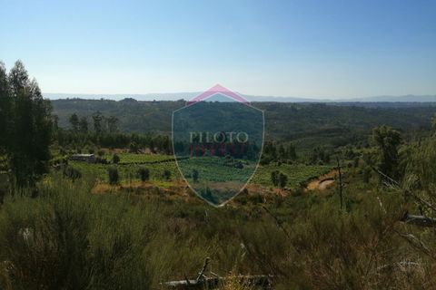 Farm i Viseu, Viseu, Viseu - € 220.000 | Ref: 2023/V - foto 24