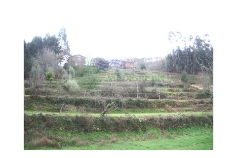 Farm i Sever do Vouga, Aveiro, Sever do Vouga - € 150.000 | Ref: VIL_647 - foto 2