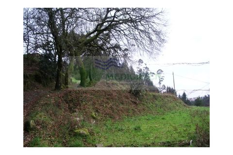 Farm i Sever do Vouga, Aveiro, Sever do Vouga - € 150.000 | Ref: VIL_647 - foto 4