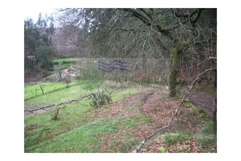 Farm i Sever do Vouga, Aveiro, Sever do Vouga - € 150.000 | Ref: VIL_647 - foto 5