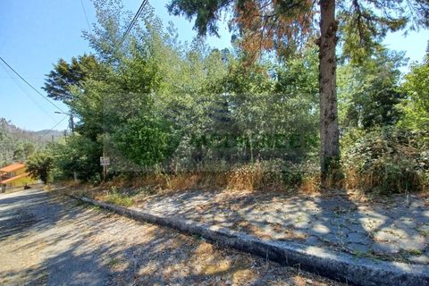 Helårsgrund i Sever do Vouga, Aveiro, Sever do Vouga - € 28.000 | Ref: TER_702(9) - foto 3