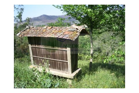 Farm i Sever do Vouga, Aveiro, Sever do Vouga - € 69.000 | Ref: FIN_407 - foto 2
