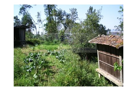 Farm i Sever do Vouga, Aveiro, Sever do Vouga - € 69.000 | Ref: FIN_407 - foto 3