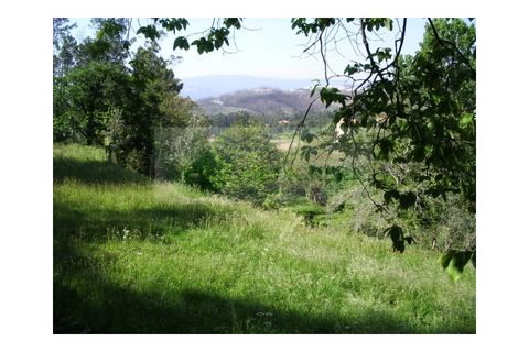 Farm i Sever do Vouga, Aveiro, Sever do Vouga - € 69.000 | Ref: FIN_407 - foto 4
