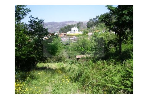 Farm i Sever do Vouga, Aveiro, Sever do Vouga - € 69.000 | Ref: FIN_407 - foto 5