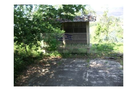 Farm i Sever do Vouga, Aveiro, Sever do Vouga - € 69.000 | Ref: FIN_407 - foto 6