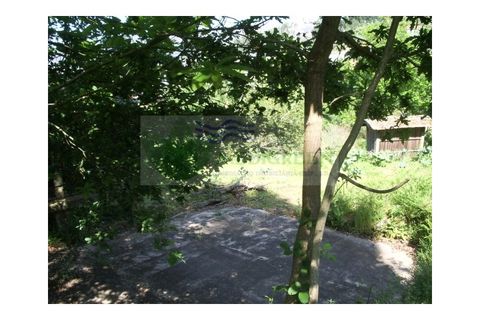 Farm i Sever do Vouga, Aveiro, Sever do Vouga - € 69.000 | Ref: FIN_407 - foto 7