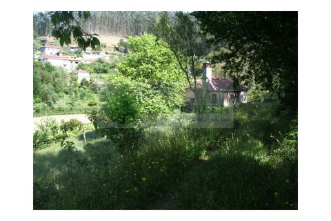 Farm i Sever do Vouga, Aveiro, Sever do Vouga - € 69.000 | Ref: FIN_407 - foto 8