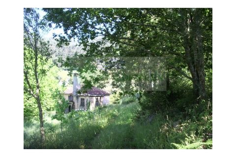 Farm i Sever do Vouga, Aveiro, Sever do Vouga - € 69.000 | Ref: FIN_407 - foto 9