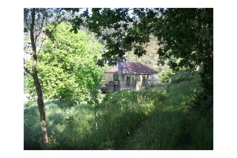 Farm i Sever do Vouga, Aveiro, Sever do Vouga - € 69.000 | Ref: FIN_407 - foto 10