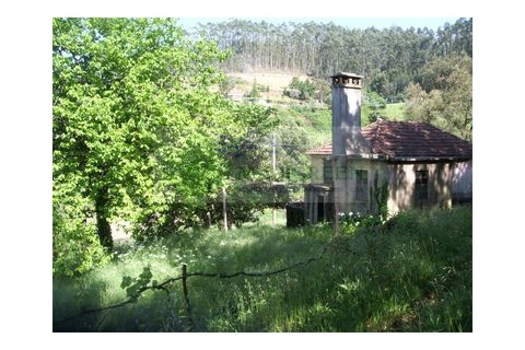 Farm i Sever do Vouga, Aveiro, Sever do Vouga - € 69.000 | Ref: FIN_407 - foto 11