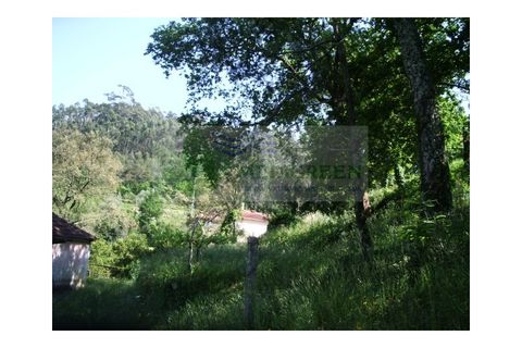 Farm i Sever do Vouga, Aveiro, Sever do Vouga - € 69.000 | Ref: FIN_407 - foto 13