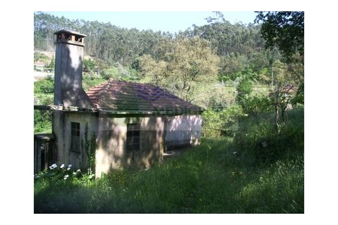 Farm i Sever do Vouga, Aveiro, Sever do Vouga - € 69.000 | Ref: FIN_407 - foto 14