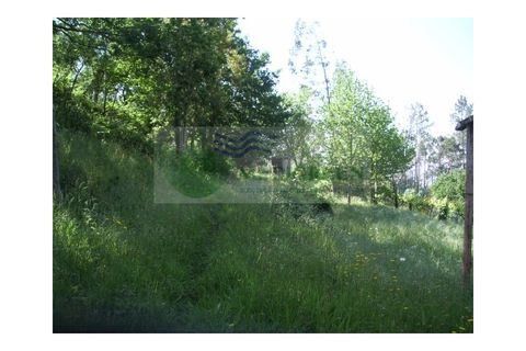 Farm i Sever do Vouga, Aveiro, Sever do Vouga - € 69.000 | Ref: FIN_407 - foto 15