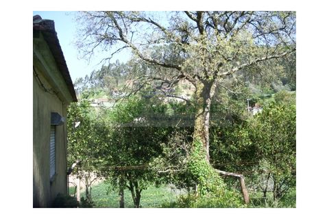 Farm i Sever do Vouga, Aveiro, Sever do Vouga - € 69.000 | Ref: FIN_407 - foto 17