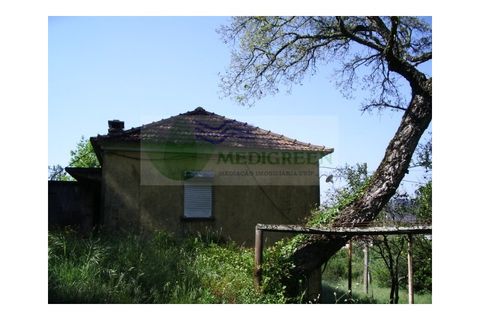 Farm i Sever do Vouga, Aveiro, Sever do Vouga - € 69.000 | Ref: FIN_407 - foto 18