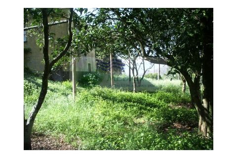 Farm i Sever do Vouga, Aveiro, Sever do Vouga - € 69.000 | Ref: FIN_407 - foto 19