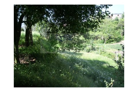 Farm i Sever do Vouga, Aveiro, Sever do Vouga - € 69.000 | Ref: FIN_407 - foto 20