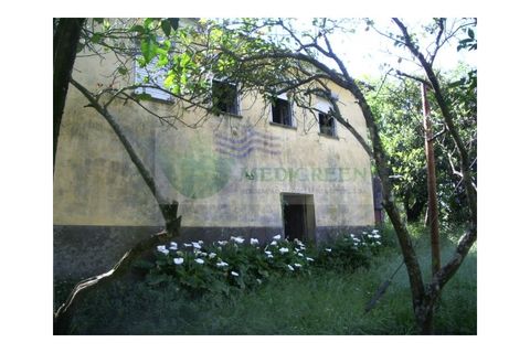 Farm i Sever do Vouga, Aveiro, Sever do Vouga - € 69.000 | Ref: FIN_407 - foto 21