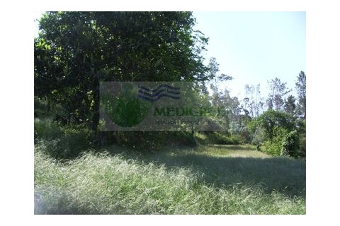 Farm i Sever do Vouga, Aveiro, Sever do Vouga - € 69.000 | Ref: FIN_407 - foto 22