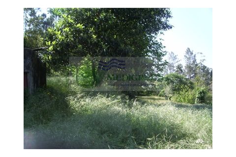 Farm i Sever do Vouga, Aveiro, Sever do Vouga - € 69.000 | Ref: FIN_407 - foto 23
