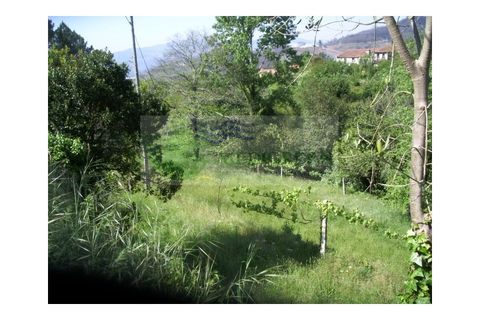 Farm i Sever do Vouga, Aveiro, Sever do Vouga - € 69.000 | Ref: FIN_407 - foto 24