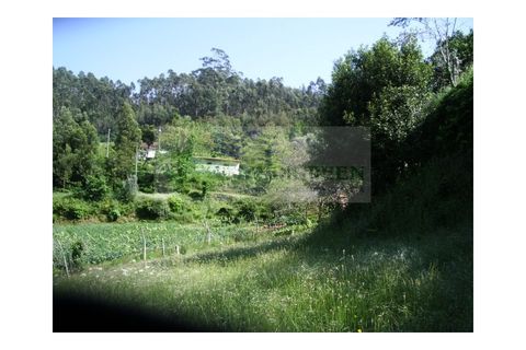 Farm i Sever do Vouga, Aveiro, Sever do Vouga - € 69.000 | Ref: FIN_407 - foto 25