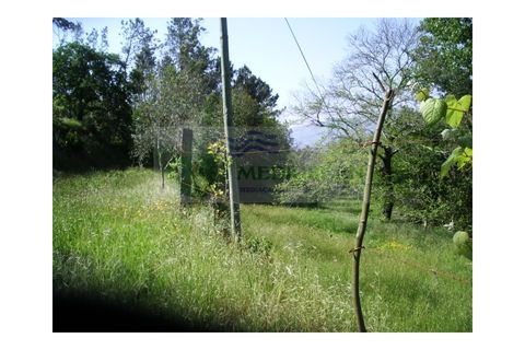 Farm i Sever do Vouga, Aveiro, Sever do Vouga - € 69.000 | Ref: FIN_407 - foto 26