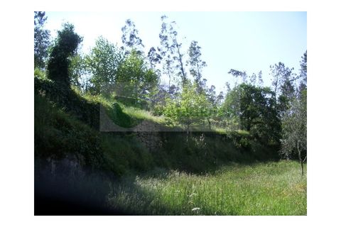 Farm i Sever do Vouga, Aveiro, Sever do Vouga - € 69.000 | Ref: FIN_407 - foto 27