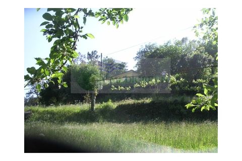 Farm i Sever do Vouga, Aveiro, Sever do Vouga - € 69.000 | Ref: FIN_407 - foto 28