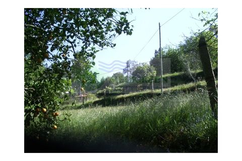 Farm i Sever do Vouga, Aveiro, Sever do Vouga - € 69.000 | Ref: FIN_407 - foto 30