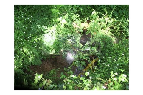 Farm i Sever do Vouga, Aveiro, Sever do Vouga - € 69.000 | Ref: FIN_407 - foto 31