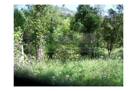 Farm i Sever do Vouga, Aveiro, Sever do Vouga - € 69.000 | Ref: FIN_407 - foto 36