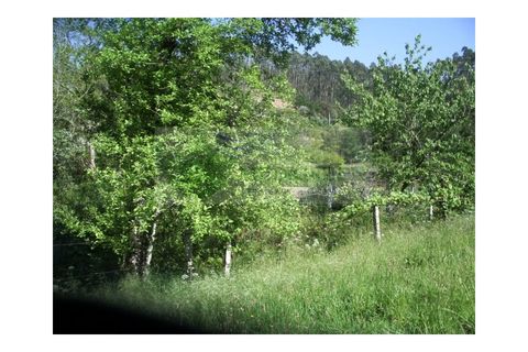 Farm i Sever do Vouga, Aveiro, Sever do Vouga - € 69.000 | Ref: FIN_407 - foto 38