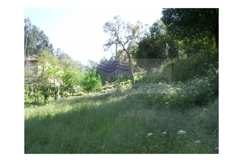 Farm i Sever do Vouga, Aveiro, Sever do Vouga - € 69.000 | Ref: FIN_407 - foto 39