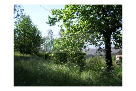 Farm i Sever do Vouga, Aveiro, Sever do Vouga - € 69.000 | Ref: FIN_407 - foto 40