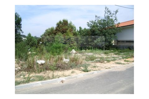 Helårsgrund i Sever do Vouga, Aveiro, Sever do Vouga - € 21.500 | Ref: TER_14 - foto 2