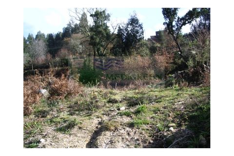 Helårsgrund i Sever do Vouga, Aveiro, Sever do Vouga - € 91.000 | Ref: TER_151 - foto 2
