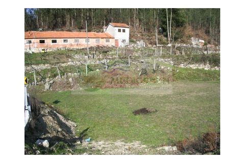 Helårsgrund i Sever do Vouga, Aveiro, Sever do Vouga - € 91.000 | Ref: TER_151 - foto 3