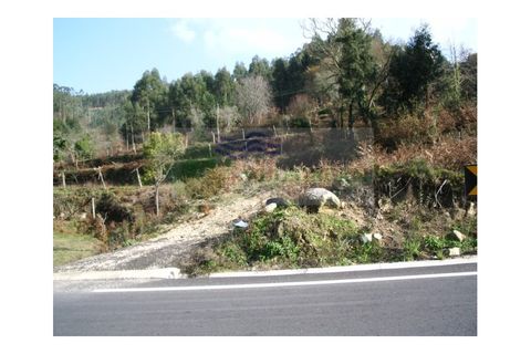 Helårsgrund i Sever do Vouga, Aveiro, Sever do Vouga - € 91.000 | Ref: TER_151 - foto 4