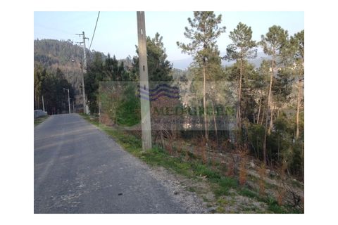Grond in Sever do Vouga, Aveiro, Sever do Vouga - € 75.000 | Ref: TER_416 - foto 2