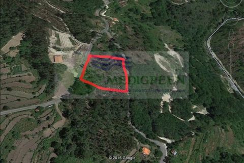 Grond in Sever do Vouga, Aveiro, Sever do Vouga - € 75.000 | Ref: TER_416 - foto 6