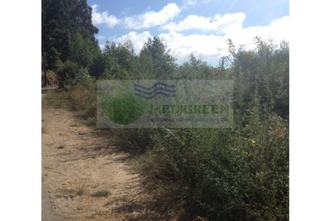 Helårsgrund i Sever do Vouga, Aveiro, Sever do Vouga - € 120.000 | Ref: TER_635 - foto 4