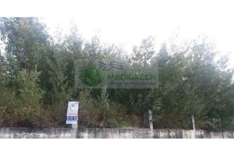 Helårsgrund i Sever do Vouga, Aveiro, Sever do Vouga - € 80.000 | Ref: TER_962 - foto 5