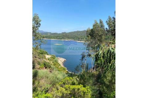 Terra a Sever do Vouga, Aveiro, Sever do Vouga - € 30.000 | Ref: TER_1291 - foto 2