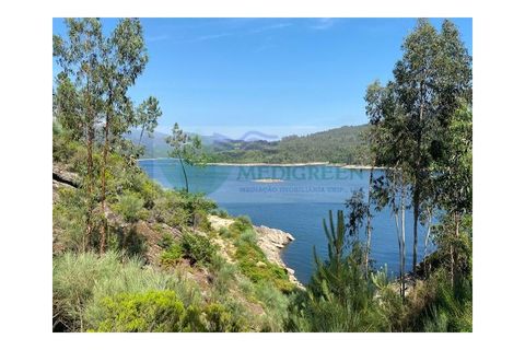 Terra a Sever do Vouga, Aveiro, Sever do Vouga - € 30.000 | Ref: TER_1291 - foto 6