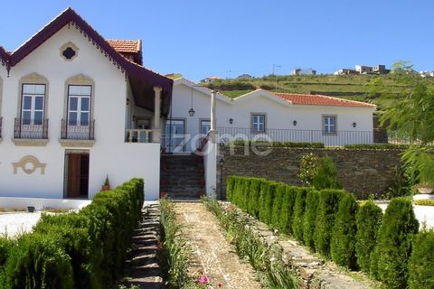 Farm i Ervedosa do Douro, Viseu, Ervedosa do Douro - € 850.000 | Ref: ZMPT559352 - foto 13