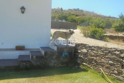 Farm i Ervedosa do Douro, Viseu, Ervedosa do Douro - € 850.000 | Ref: ZMPT559352 - foto 38