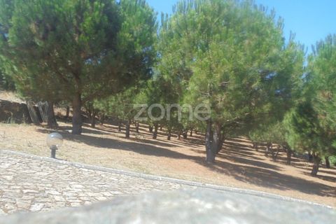 Farm i Ervedosa do Douro, Viseu, Ervedosa do Douro - € 850.000 | Ref: ZMPT559352 - foto 39